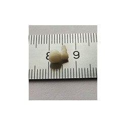 1:43 Auto Parts 43043h - RAF-2203 "Latvija" Фары и другие детали для машины скорой помощи РАФ-2203