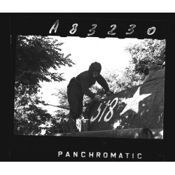 1:35 Colibri Decals 35092 - Pz.Kpfw.V Panter Ausf. A in Red Army