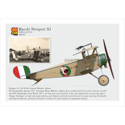 1:32 Copper State Models 32-015 - Macchi Nieuport XI Italian Service
